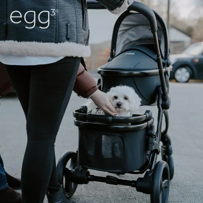 egg Pet Basket / egg Basket