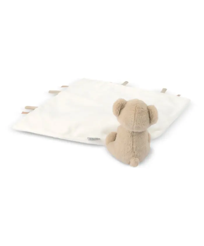 Bear Comforter 2