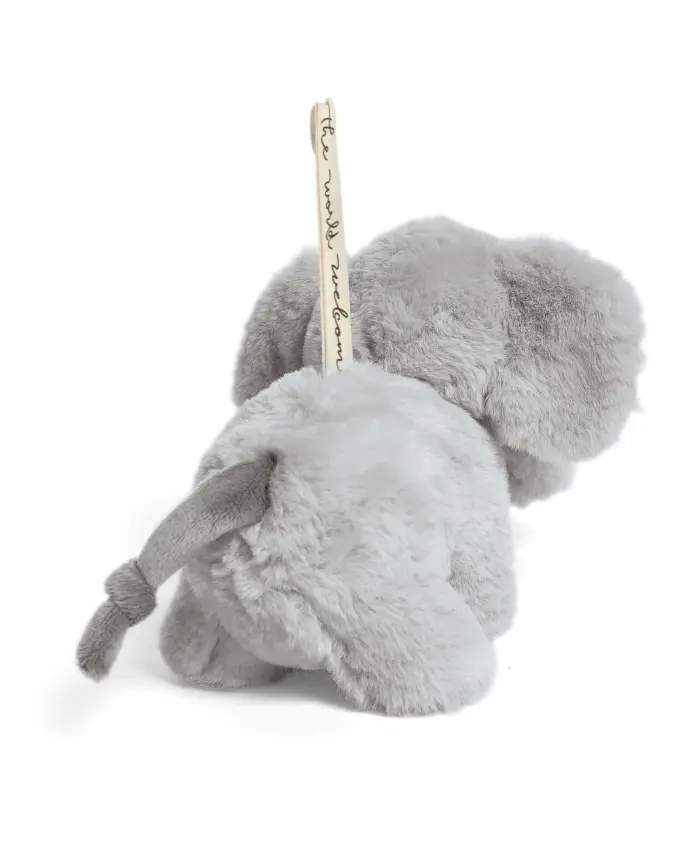 Educational Chime Toy - Eddie Elephant 3