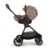 Nuna Triv Next + Arra Flex & Base Curv Travel System Bundle - Cedar 1