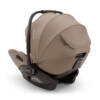 Nuna Triv Next + Arra Flex & Base Curv Travel System Bundle - Cedar 24