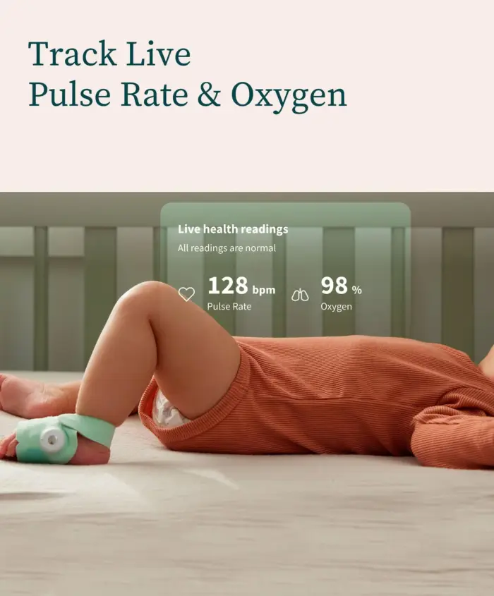 Owlet Dream Duo™ - Mint