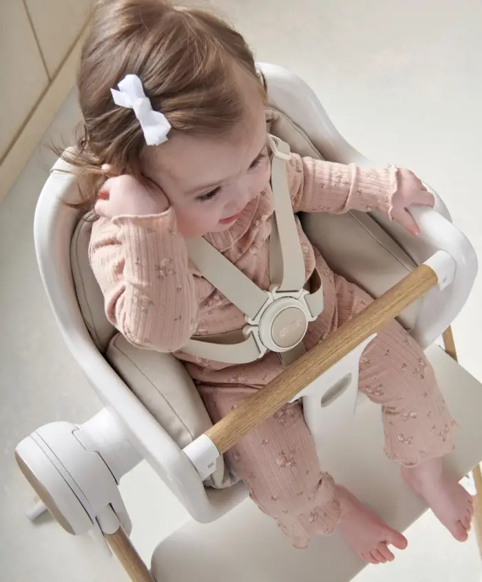 Mamas & Papas Eno Highchair, Bouncer & Cushion Complete Bundle - Cashmere