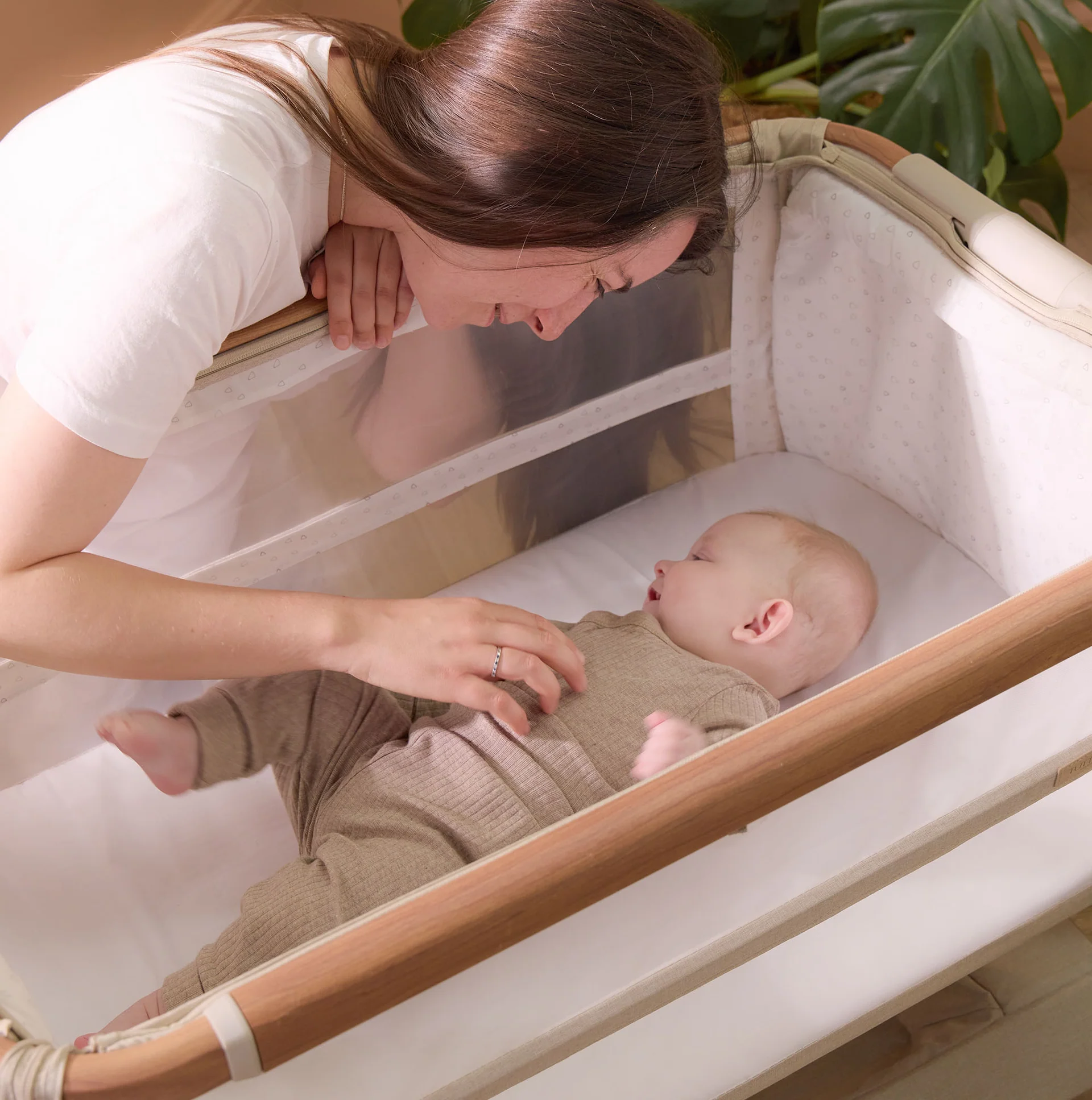 Tutti Bambini CoZee XL Bedside Crib & Cot- Scandinavian Walnut and Ecru