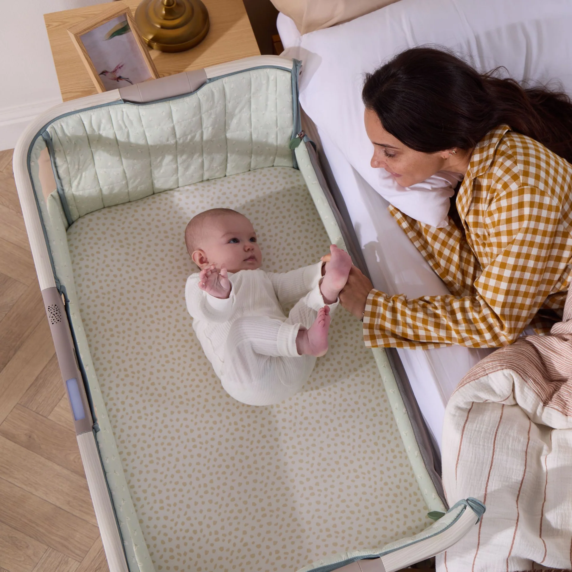 Tutti Bambini Cozee Sense Bedside Crib- Whitewash / Kelp