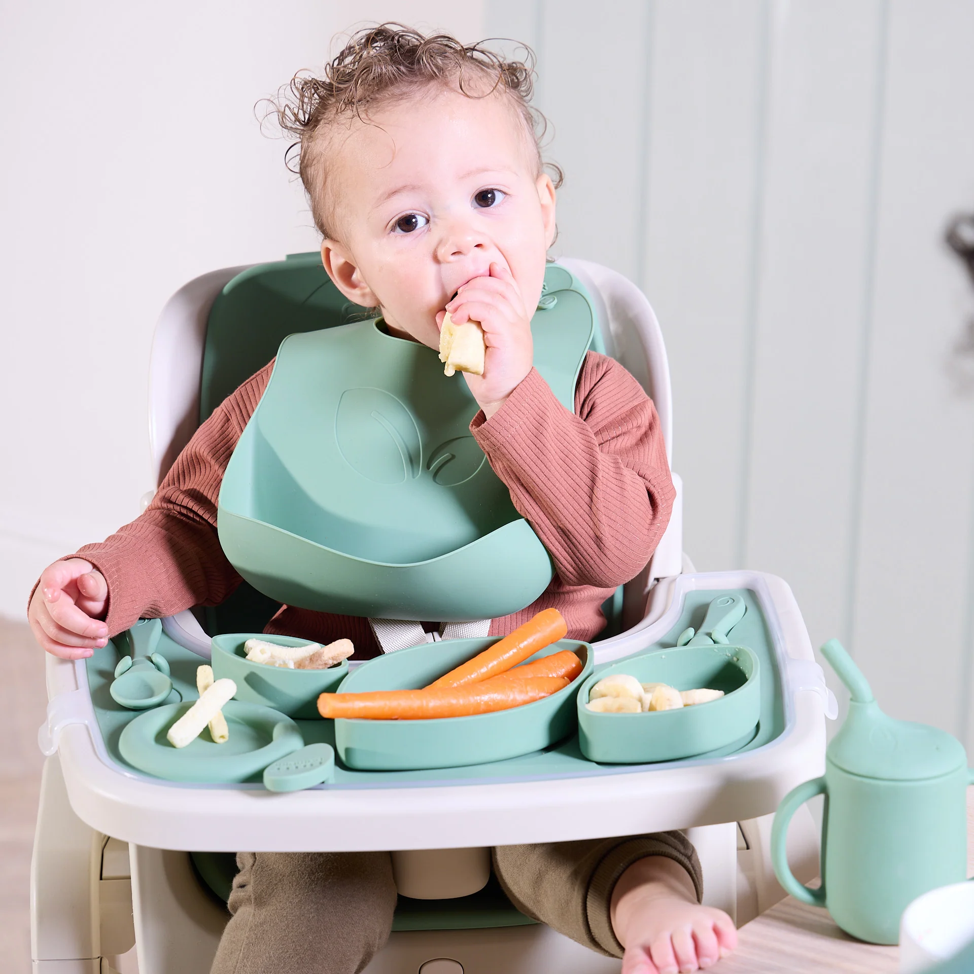 Tutti Bambini Nova High Chair Accessory Pack - Basil